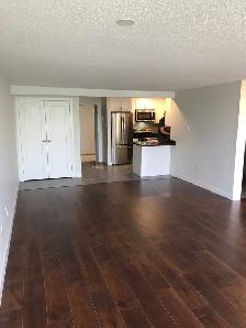 1 Bedroom Apartment for Rent – Byron, London