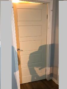 selling Profffesssional Inter-ior HC Doors installation with fra - Photo 7