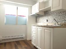 Studio Apartment for Rent – Next to  Plamondon Metro