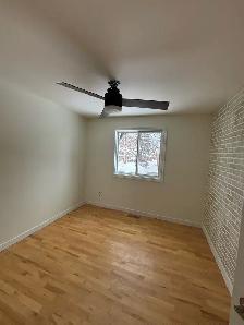 Rxco drywall sanding painting - Photo 5