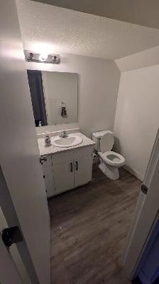 2BR suite for rent $1350 pm - Photo 3