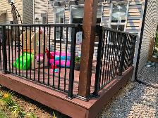 Good deal for Beautiful Aluminum railings. Good deal for Exterio - Photo 5