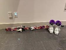 techno pro 110 skis and boots