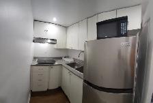 Furnished Sharing  Room,  Main floor Downtown Brampton - OCT 01 - Photo 3