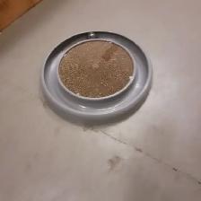 HEY! LOOK AT THSE INTERESTING ITEMS - Photo 9