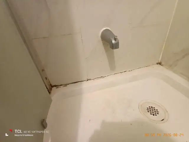 Move in / Out Cleaning Services