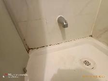 Move in / Out Cleaning Services