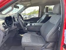 2022 Ford F-150 XL SuperCrew 5.5' Box 4WD | No Accidents - Photo 3