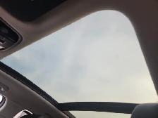 2019 Kia Sorento - Photo 15