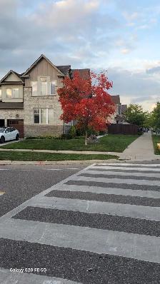 House for Rent - Photo 2