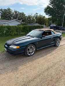 1995 Ford Mustang GT 5.0L - Photo 2
