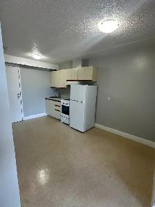 One Bedroom Available Now in Minnow Lake - Photo 2