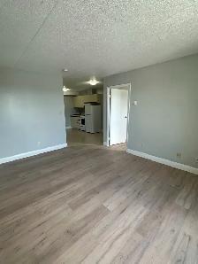 One Bedroom Available Now in Minnow Lake - Photo 4