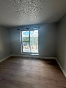 One Bedroom Available Now in Minnow Lake - Photo 6