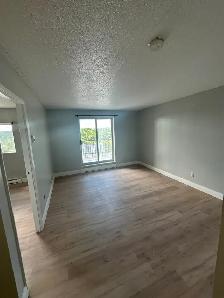 One Bedroom Available Now in Minnow Lake - Photo 7