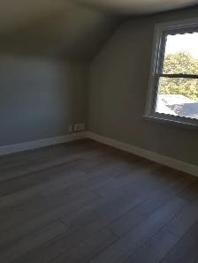 4 Bedroom House - Main Level Available now - Photo 10