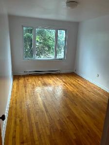 5½ à louer — 3 chambres, rafraîchi, Saint-Michel — 1 825 $/mois - Photo 3