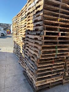 réparateur de palette