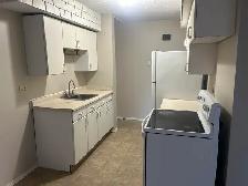 3 Bed 1 Bath Unit in Edmonton, AB - Photo 8