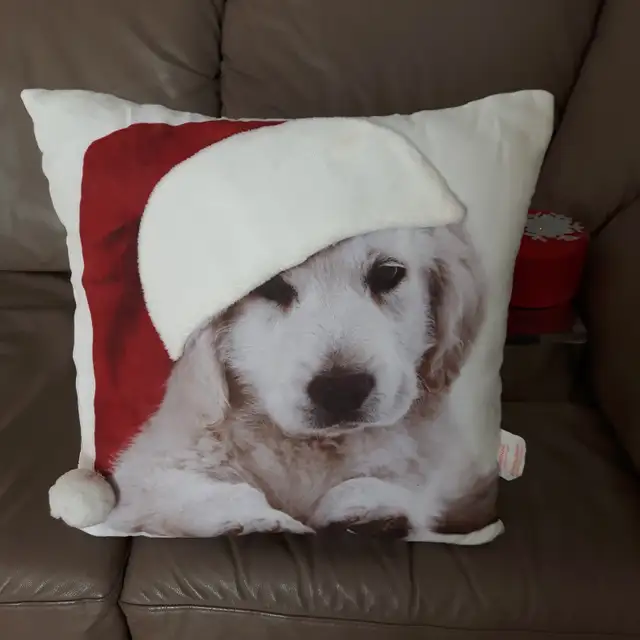 BEAU COUSSIN NEUF BLANC ROUGE D'ENFANT MONTRANT 1 CHIEN: $10.00