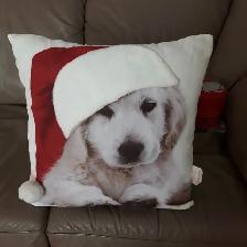 BEAU COUSSIN NEUF BLANC ROUGE D'ENFANT MONTRANT 1 CHIEN: $10.00