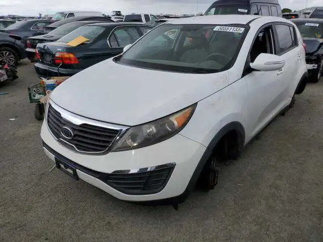 Buying: Kia / Hyundai in any condition
