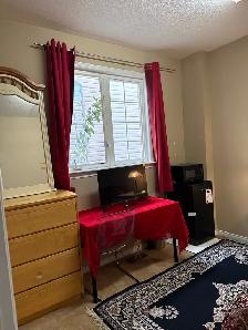 Available now room for rent female only - Photo 3