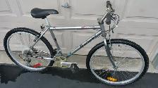 Raleigh Commuter Bicycle