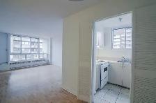 one bedroom apartment near Concordia - Lease Transfer