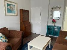Fully Furnished One Bedroom Apt for One Person Only - Photo 3