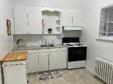 Fully Furnished One Bedroom Apt for One Person Only - Photo 5