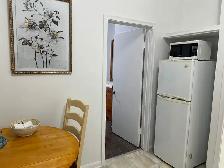 Fully Furnished One Bedroom Apt for One Person Only - Photo 8