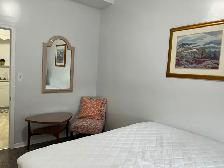 Fully Furnished One Bedroom Apt for One Person Only - Photo 10