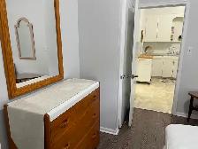 Fully Furnished One Bedroom Apt for One Person Only - Photo 11