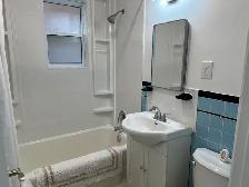Fully Furnished One Bedroom Apt for One Person Only - Photo 12