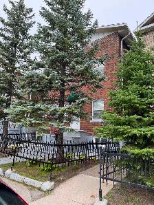 Fully Furnished One Bedroom Apt for One Person Only - Photo 13