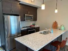 HEART OF LASALLE CONDO FOR LEASE - Photo 4