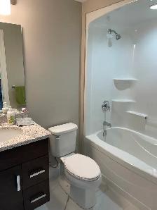 HEART OF LASALLE CONDO FOR LEASE - Photo 9