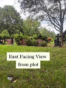 East Facing Pine Hills Internment - Photo 5