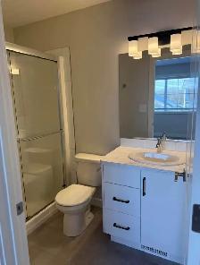 BRAND NEW 2025 DUPLEX – BOTH SIDES – $807,000 – SYLVAN LAKE - Photo 7