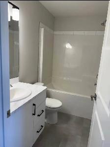 BRAND NEW 2025 DUPLEX – BOTH SIDES – $807,000 – SYLVAN LAKE - Photo 8