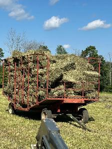 1st cut and 2nd cut hay