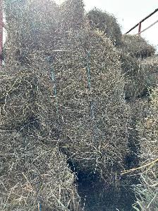 1st cut and 2nd cut hay - Photo 2
