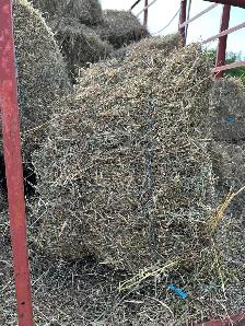 1st cut and 2nd cut hay - Photo 3