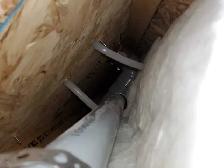Poly B Removal quotes