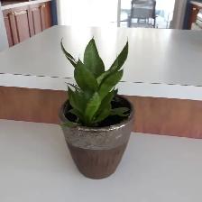 8PLANTES MAISON VERTES BLANCHE UNE ÀFLEURS MAUVES: $10.00CHACUNE - Photo 6