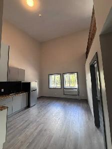 2 BEDROOM (1LOFT)   DEN APART HUNTSVILLE $2200.00 - Photo 5