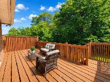 North York Detached Home - 3 1 Beds, 2 Kitchens，Sep Entrance Bsm - Photo 6