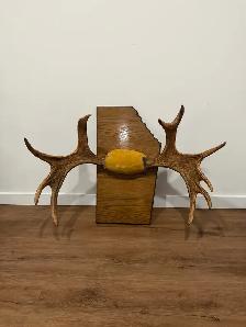 Large Moose Antler Wall Mount – Rustic Decor