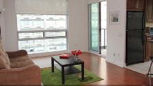 2Bedroom/2 Bathroom Condo Bay -Bloor University of Toronto. - Photo 4